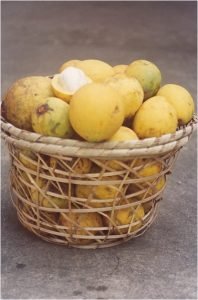 bacuri donadio 2