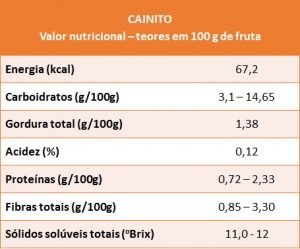 cainito - VN