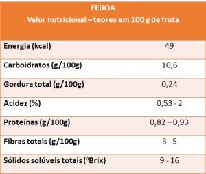 feijoa - VN