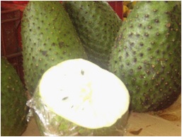graviola donadio 2
