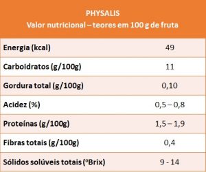 physalis - VN