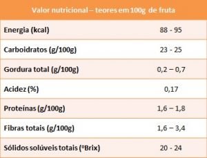 pinha tabela donadio