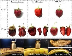 seda-protege-frutas-2