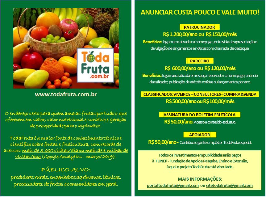 Uma Linda Fruta Fresca De Cobra PNG , Fruta, Frutas Vermelhas